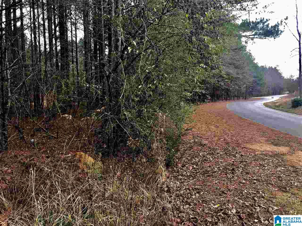 4040 Sportsman Lake Road, Unit 1 Odenville, AL 35120 - Photo 6 of 11