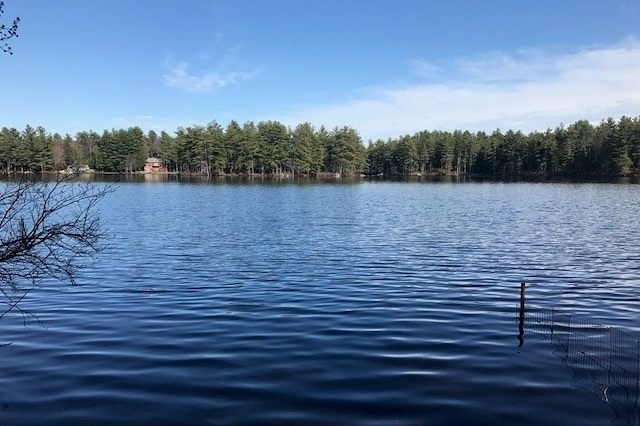 59 Pine Road Fitzwilliam, NH 03447 - Photo 16 of 16 Gallery Image 16