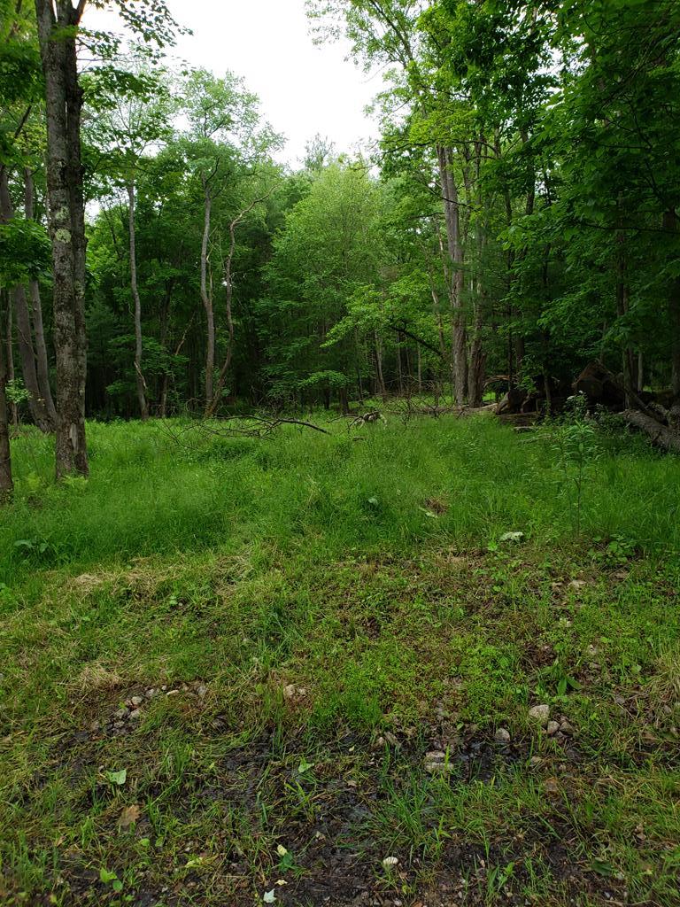 6941 Miola Road Clarion, PA 16214 - Photo 4 of 4