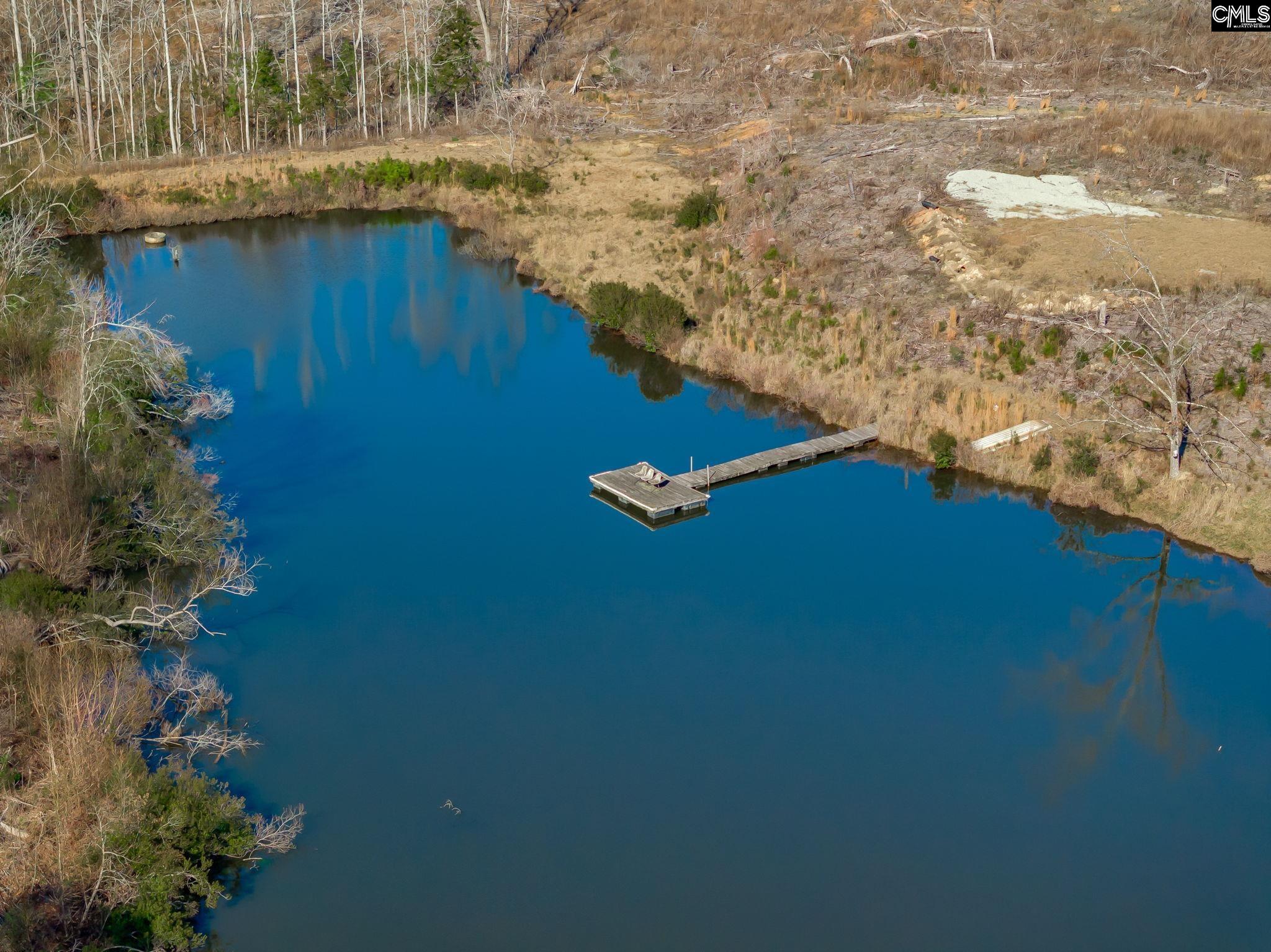 501 Crooked Creek Road Chapin, SC 29036 - Photo 16 of 28