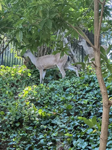 $520,000 | 1444 Ashwood Drive, Martinez, CA 94553