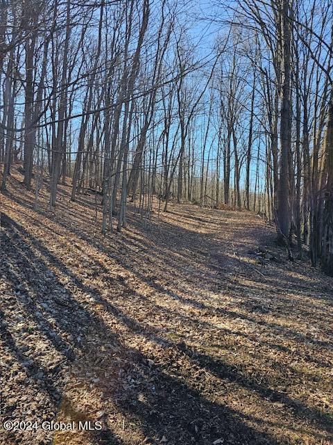 2298 Coach Road Argyle, NY 12809 - Photo 40 of 45 20240312_112405