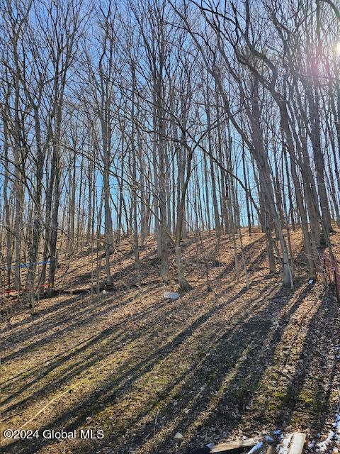 2298 Coach Road Argyle, NY 12809 - Photo 42 of 45 20240312_112421