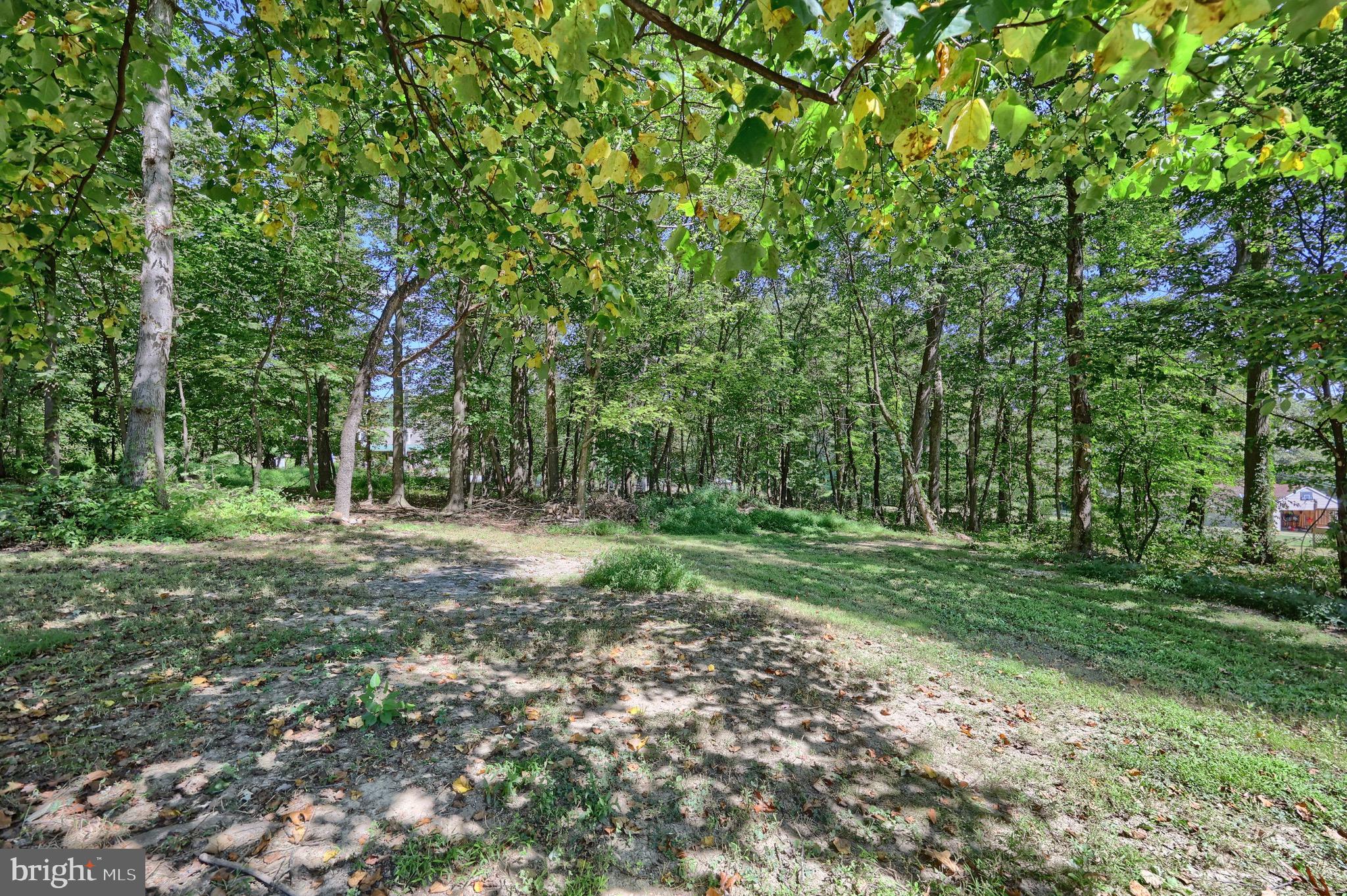 8891 Orchard Road Spring Grove, PA 17362 - Photo 3 of 28 Gallery Image 3