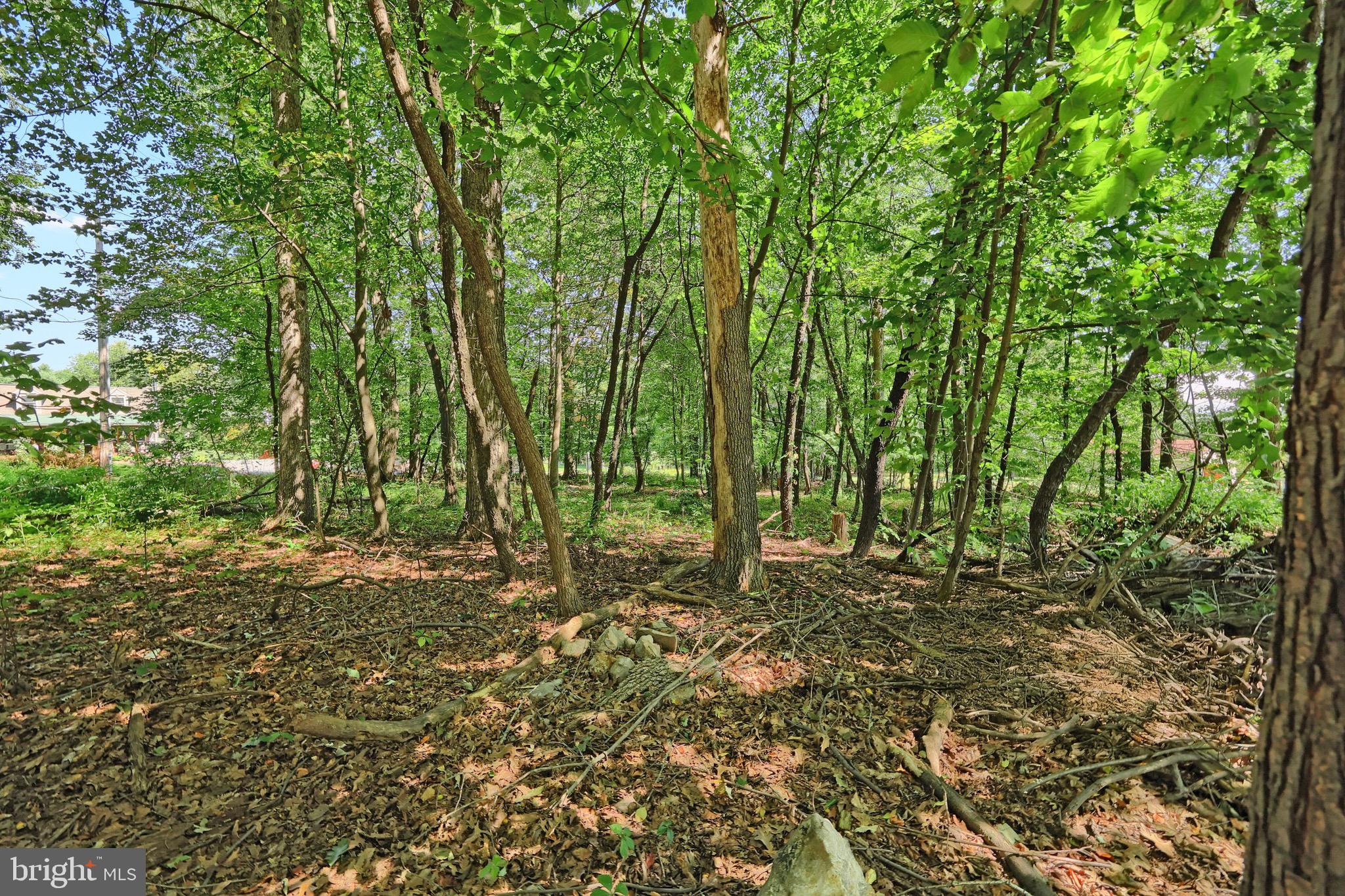 8891 Orchard Road Spring Grove, PA 17362 - Photo 4 of 28 Gallery Image 4