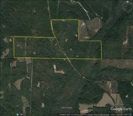 1 County Road 231 Abbeville, AL 36310 - Photo 1 of 1
