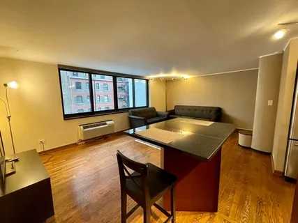 $3,500 | 1221 North Dearborn Street, Unit 804S, Chicago, IL 60610