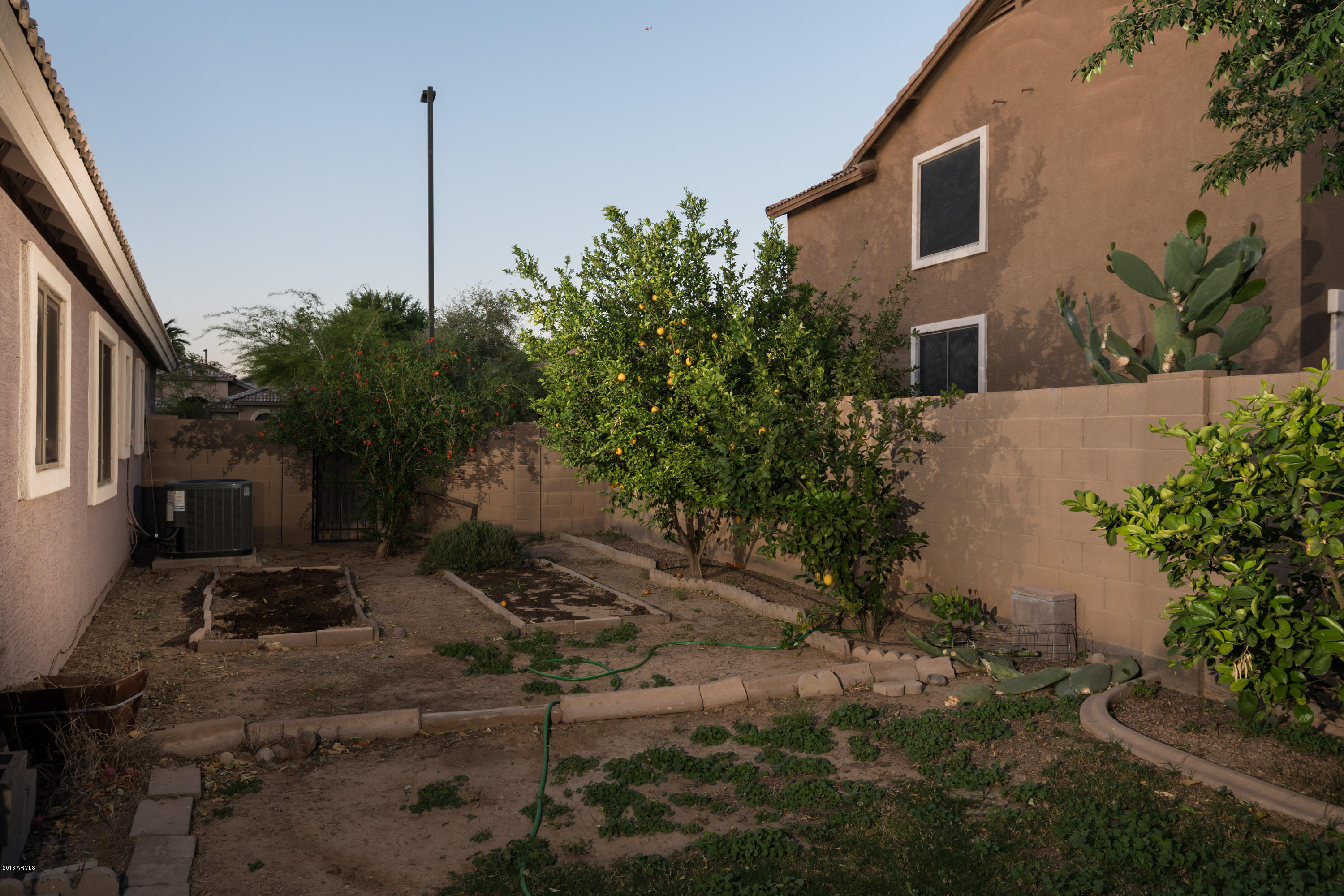 3327 East Chickadee Road Gilbert, AZ 85297 - Photo 35 of 42 Backyard Garden Area