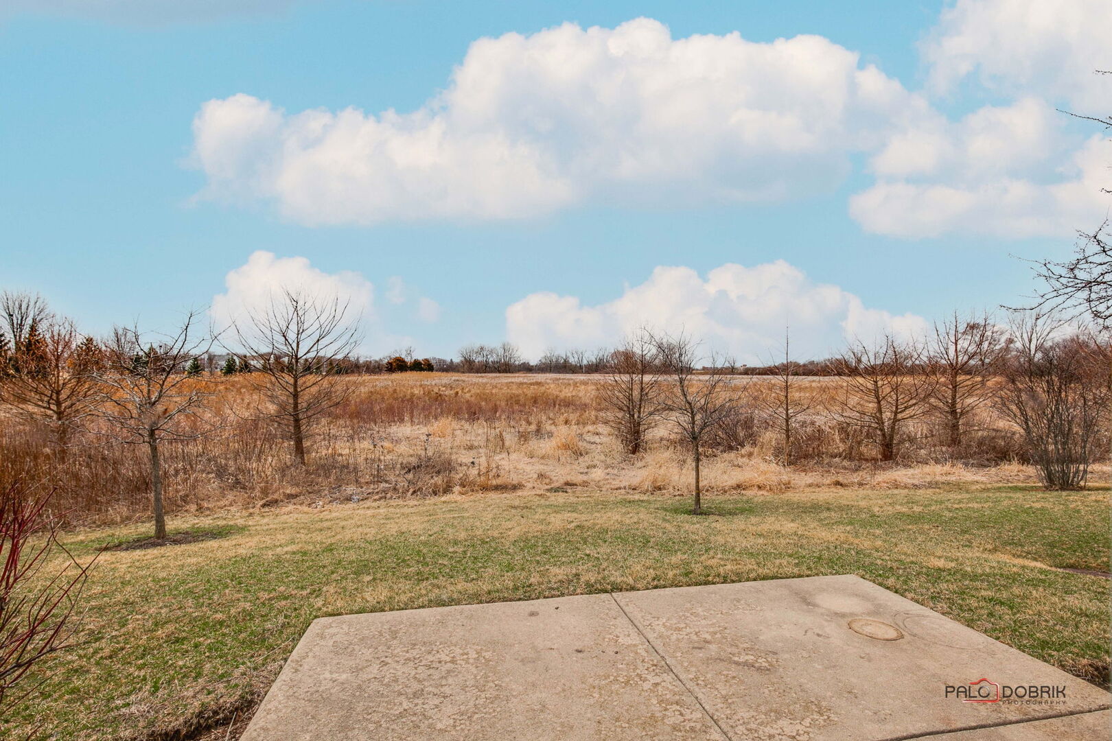 269 Enfield Lane Grayslake, IL 60030 - Photo 27 of 45 a view of a lake with a big yard