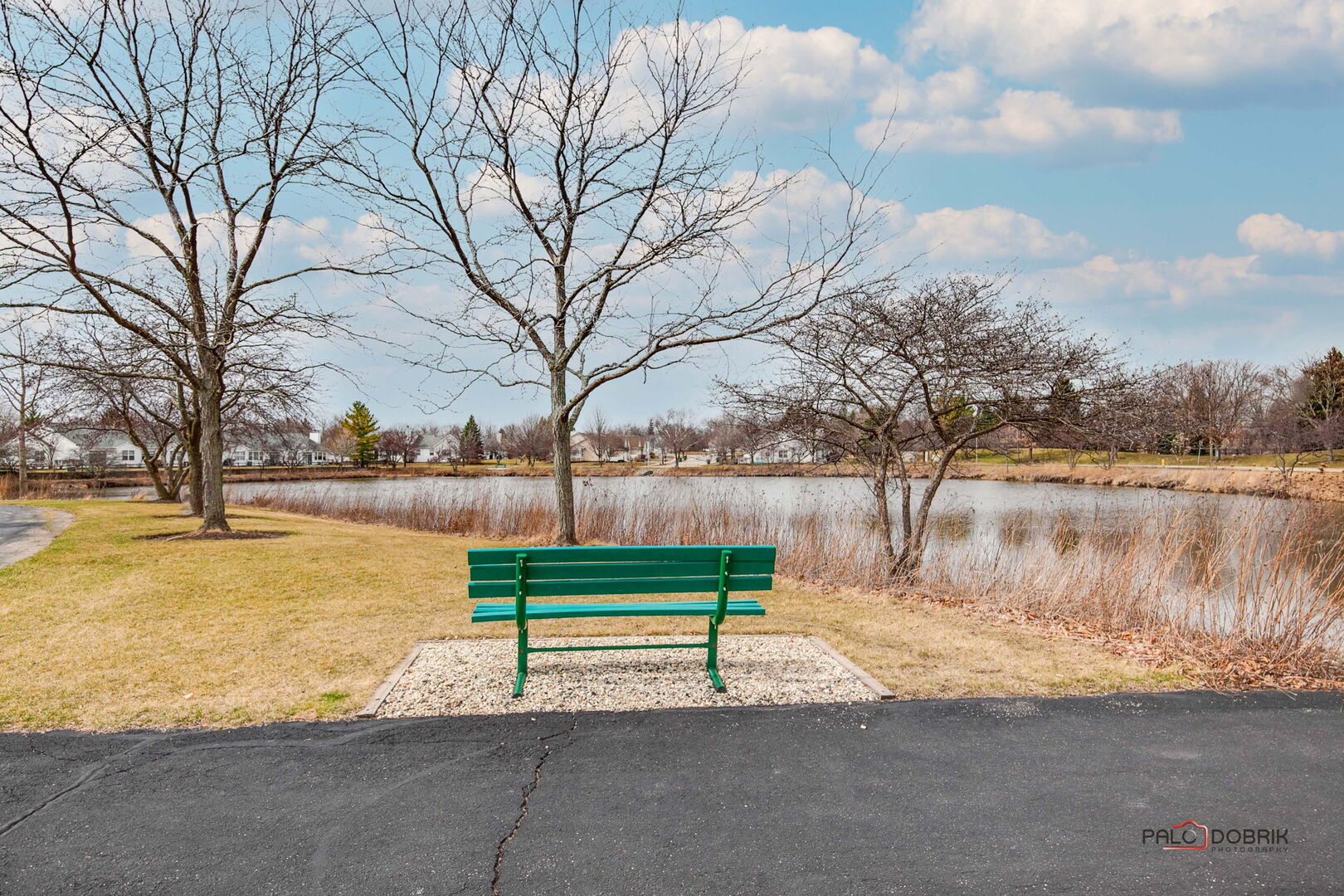 269 Enfield Lane Grayslake, IL 60030 - Photo 33 of 45 a backyard of a house with lots of green space