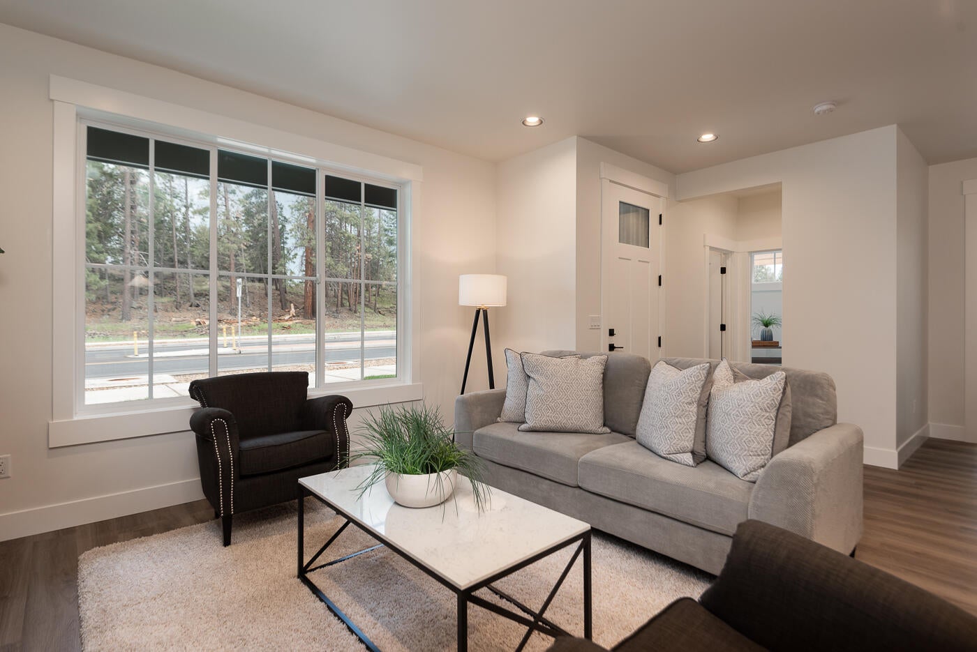 Entry and Great Room
