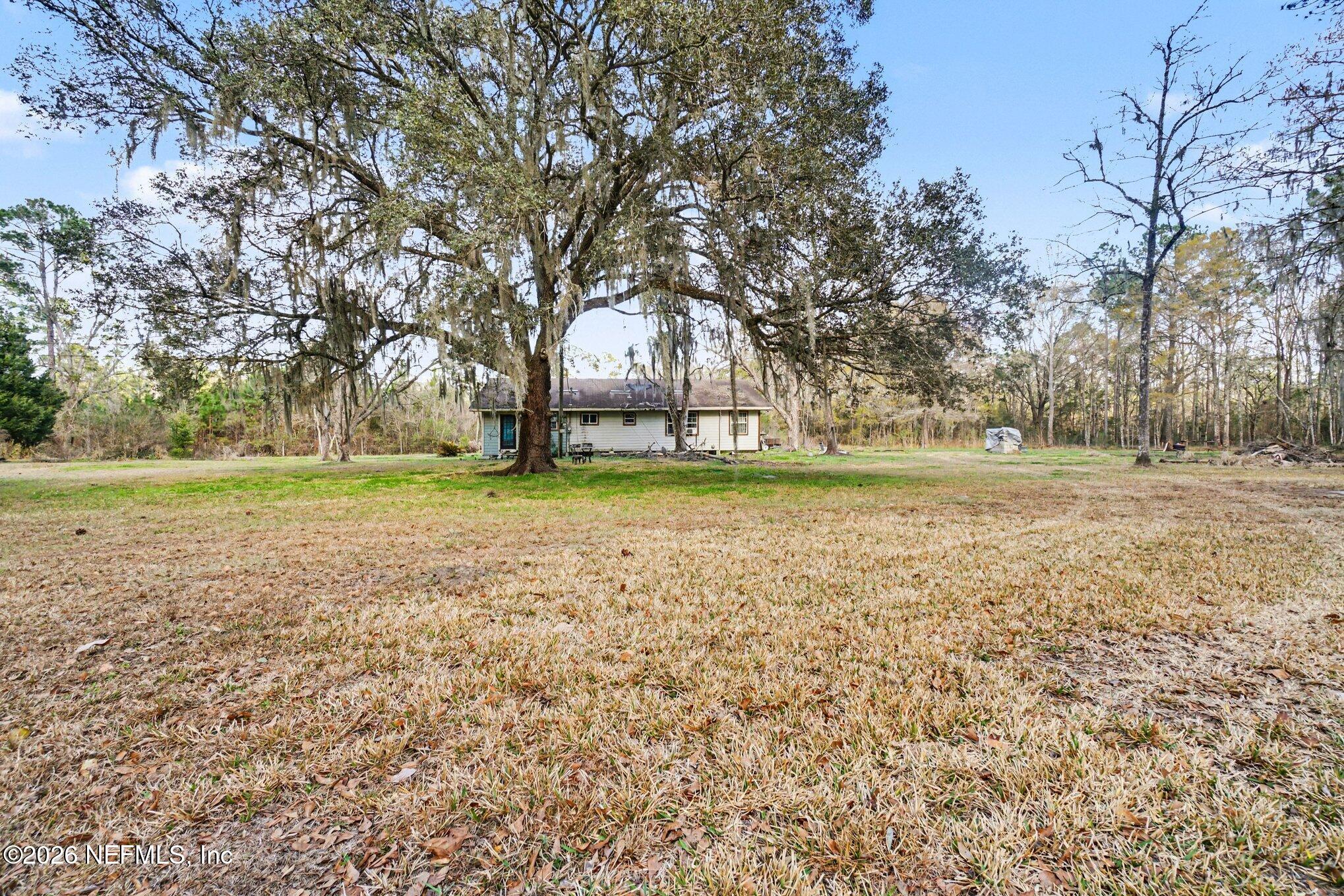 3390 Lannie Road Jacksonville, FL 32218 - Photo 15 of 18 a big yard with lots of green space and trees