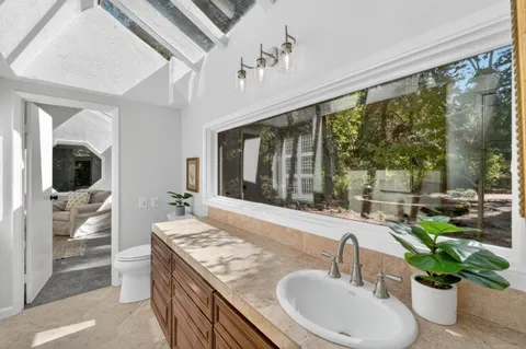 a view of a yard with plants and trees