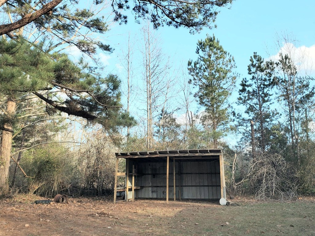 2606 Oldenburg Road Meadville, MS 39653 - Photo 31 of 39 Photo 31