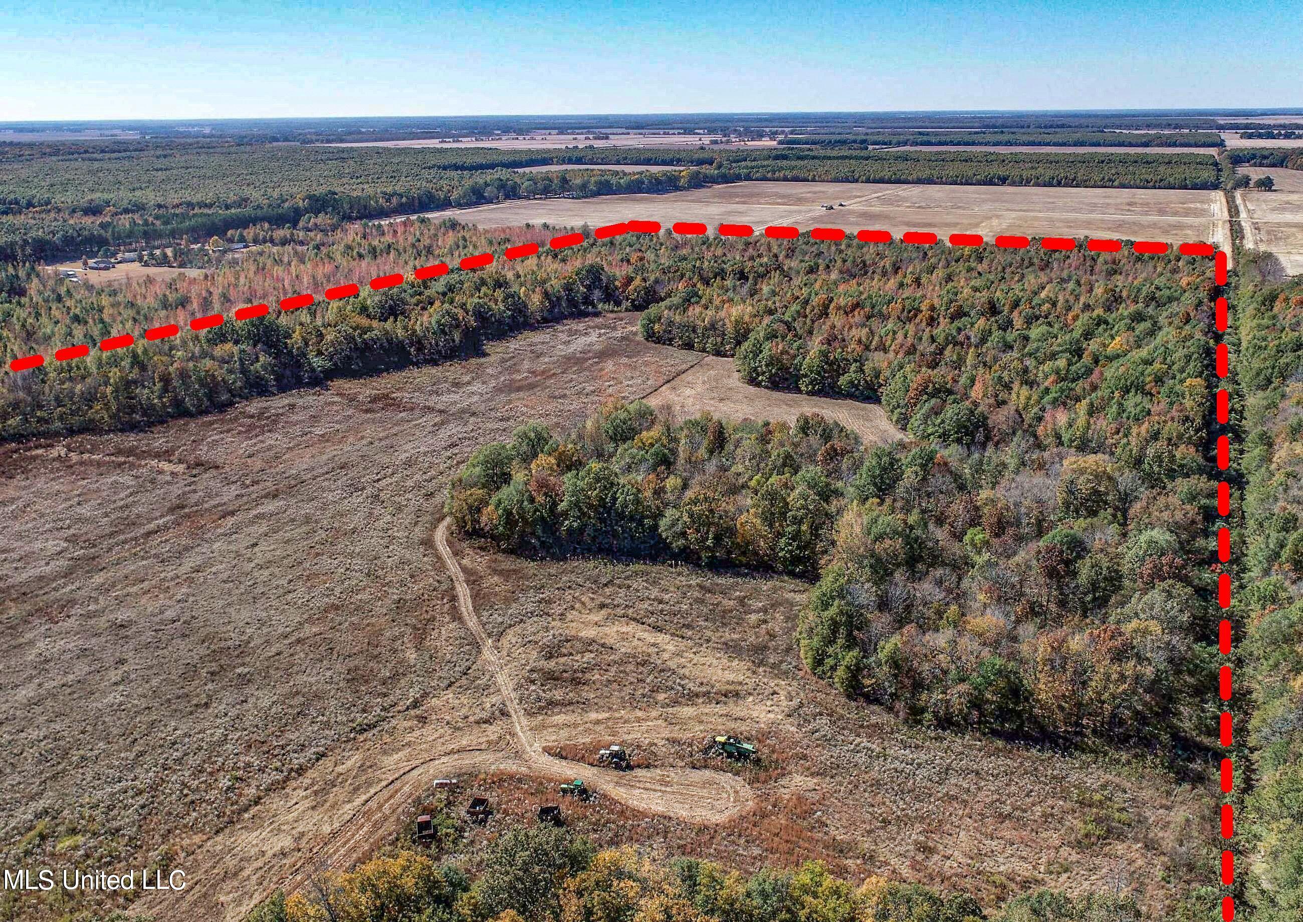 5151 Nash Road Batesville, MS 38606 - Photo 9 of 75 2irvi10a