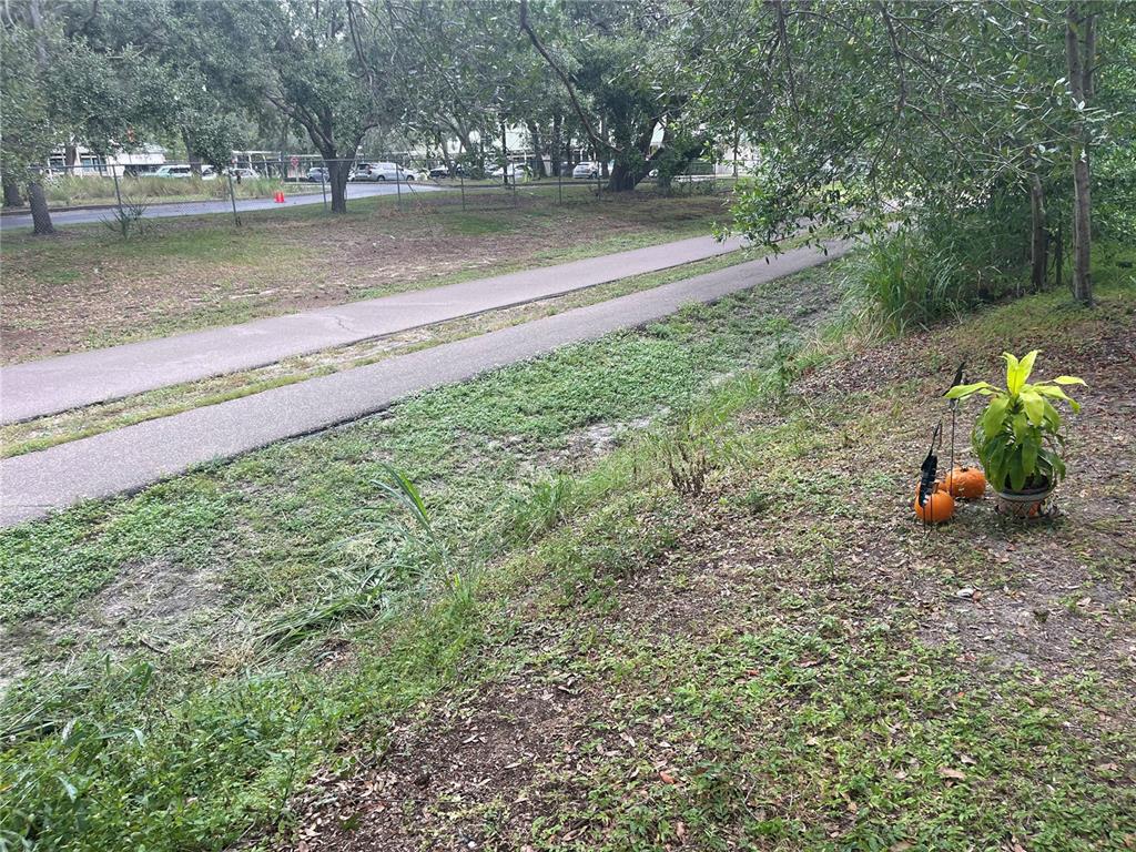 179 Margie Street Palm Harbor, FL 34683 - Photo 10 of 12 a backyard of a house with lots of green space