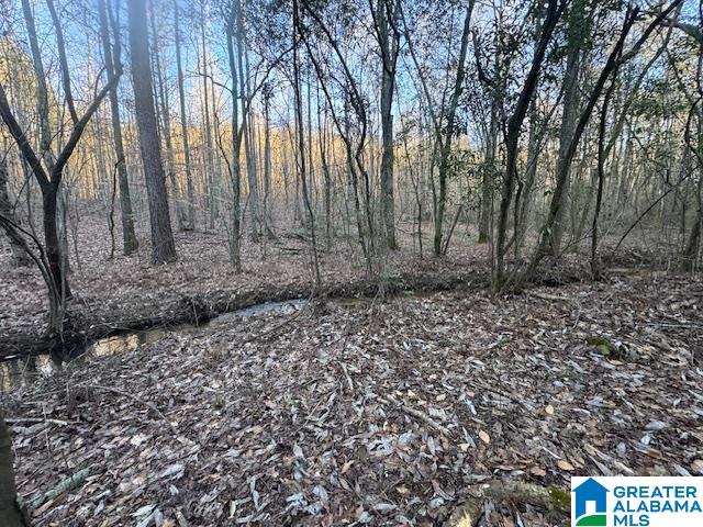 170 Valley Grove Road, Unit 45 AC Cragford, AL 36255 - Photo 9 of 19
