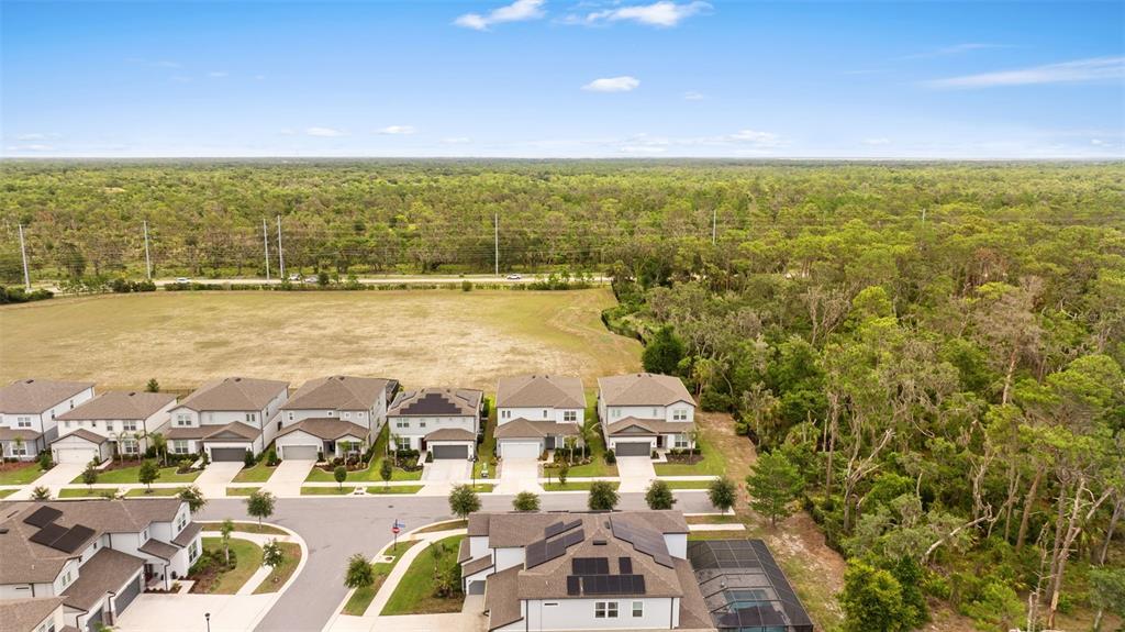 11490 Calusa Trails Way Riverview, FL 33569 - Photo 46 of 54