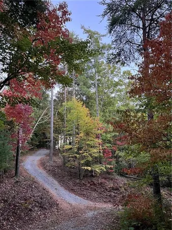 $325,000 | 0 Pleasant Hill Trail, Ellijay, GA 30540