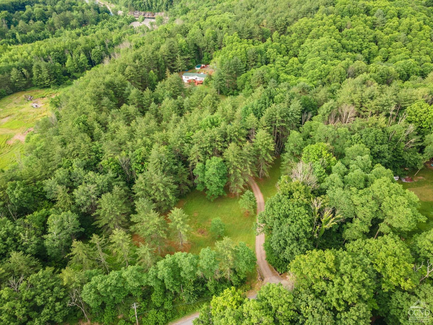 188 Taibbi Road Gilboa, NY 12076 - Photo 45 of 54 a view of a lush green forest with lots of trees