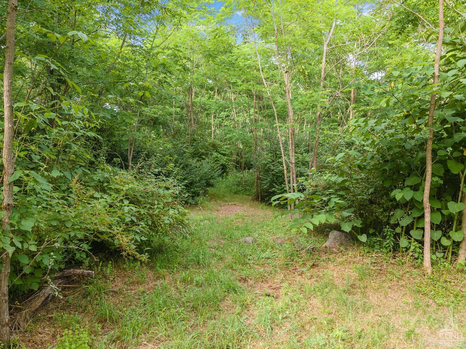 188 Taibbi Road Gilboa, NY 12076 - Photo 50 of 54 Photo 50