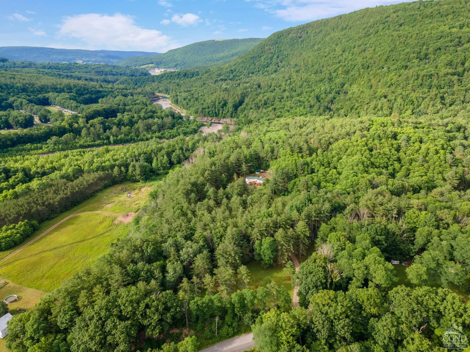 188 Taibbi Road Gilboa, NY 12076 - Photo 54 of 54 a view of a green field with lots of bushes