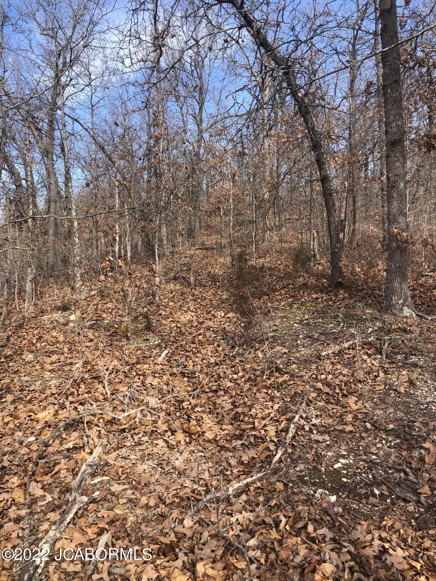 Tbd Broads Branch Road Macks Creek, MO 65786 - Photo 14 of 18