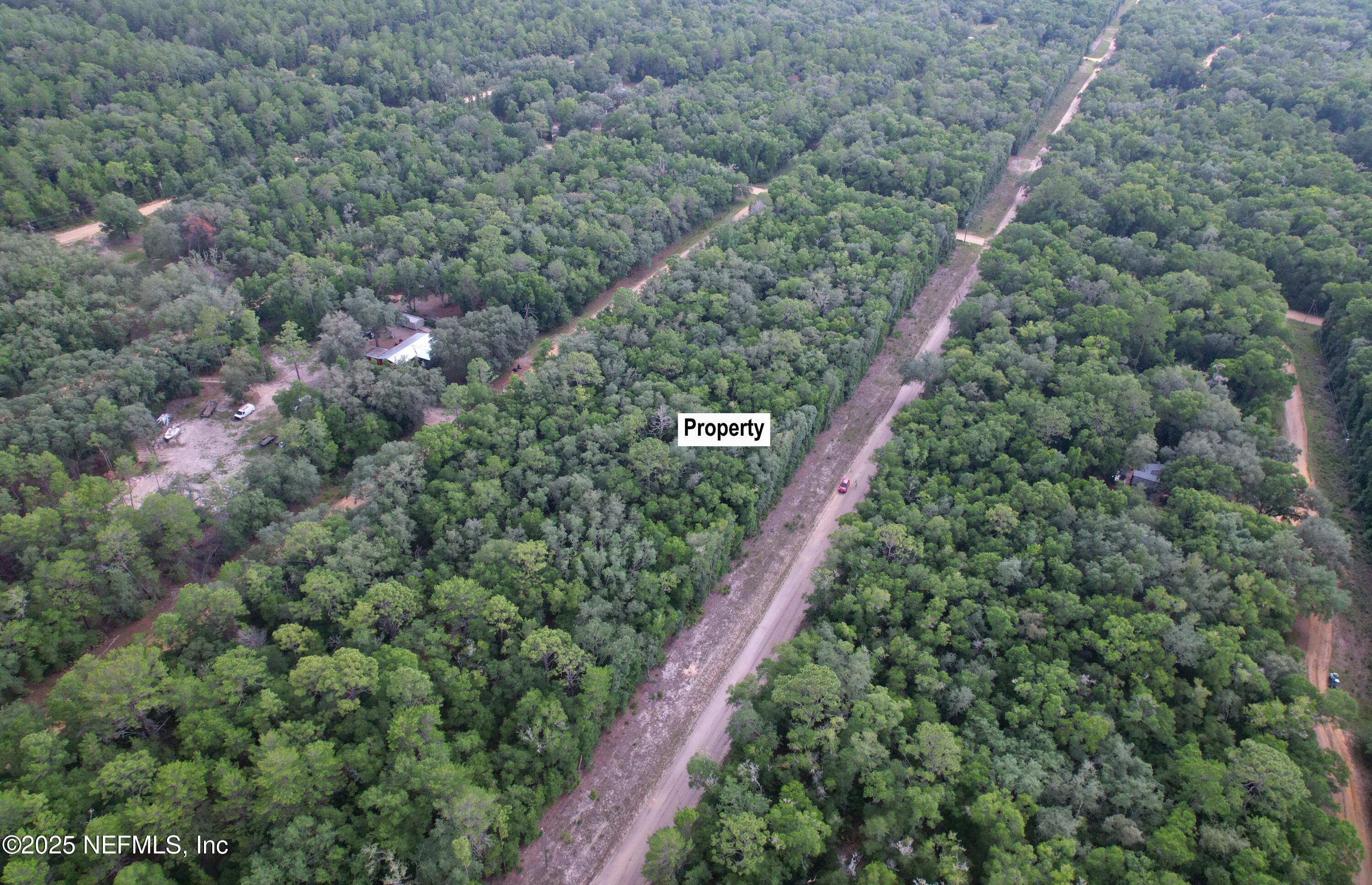 0 Gloria Interlachen, FL 32148 - Photo 3 of 11 3