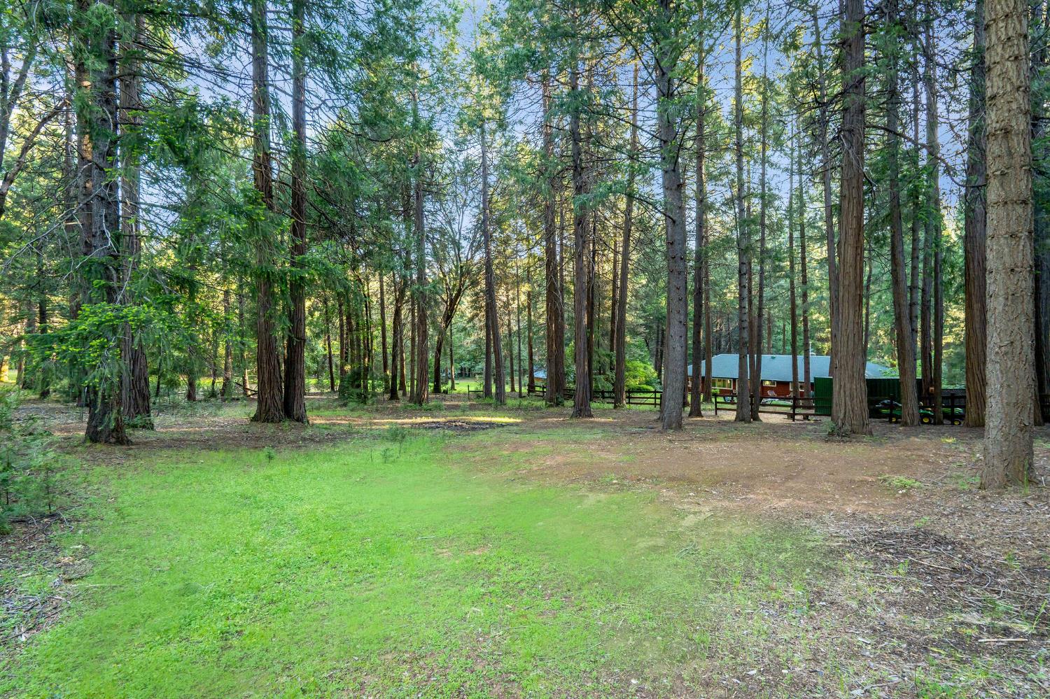 15188 North Bloomfield Road Nevada City, CA 95959 - Photo 68 of 73