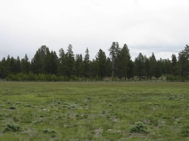 39150 9 9 Mile Road Chiloquin, OR 97624 - Photo 7 of 15 Additional Photo