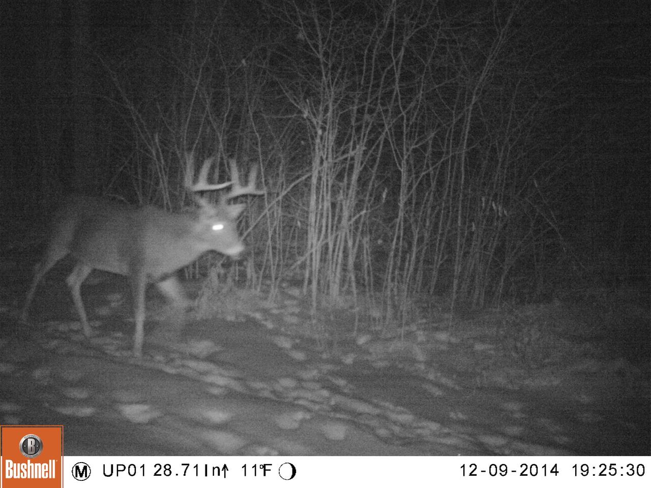 N3302 Pennington Road Prentice, WI 54556 - Photo 30 of 93 Gallery Image 30