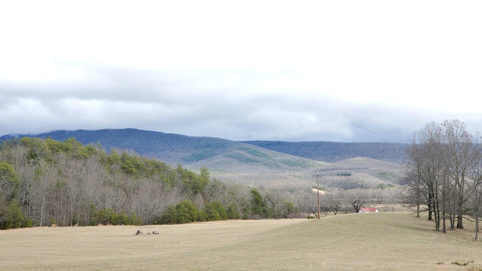 4656 Limestone Hill Road Waiteville, WV 24984 - Photo 25 of 37 Gallery Image 25