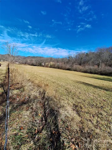 $1,386,700 | 40 Georges Branch Road, Candler, NC 28715