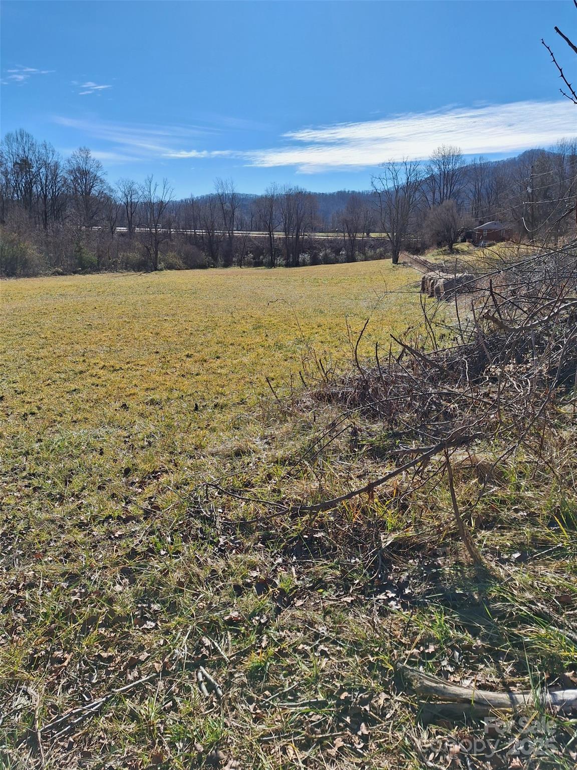 40 Georges Branch Road Candler, NC 28715 - Photo 4 of 6