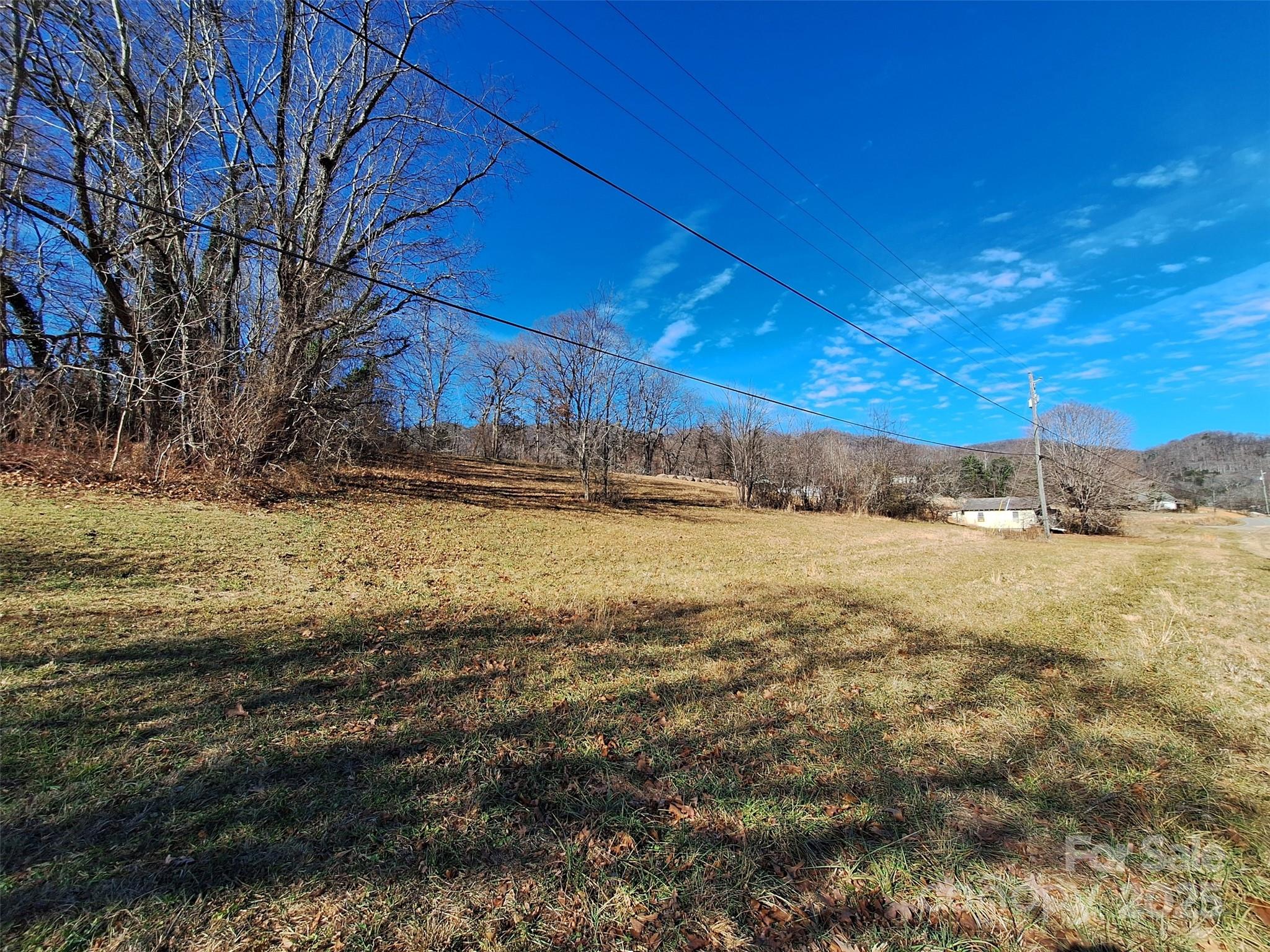 40 Georges Branch Road Candler, NC 28715 - Photo 5 of 6