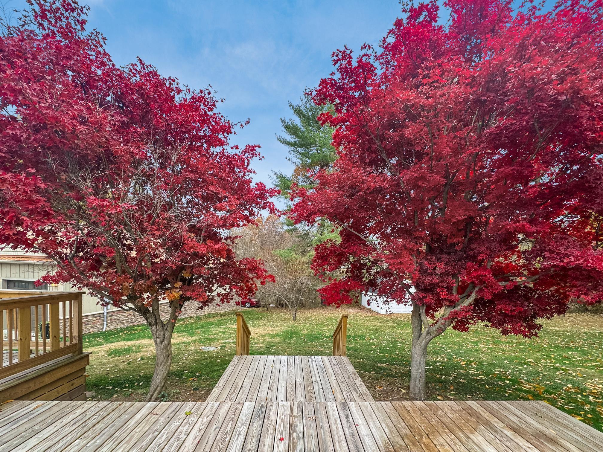 3229 Nolan Road Zanesville, OH 43701 - Photo 47 of 53 3229 Nolan - back deck red trees