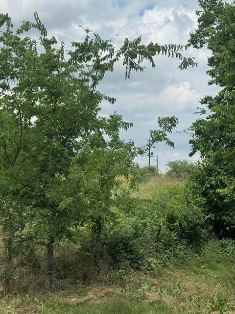 0 County Road 4219 Decatur, TX 76234 - Photo 2 of 7