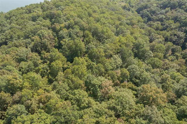 $169,500 | 0 State Road, Ellington, MO 63638