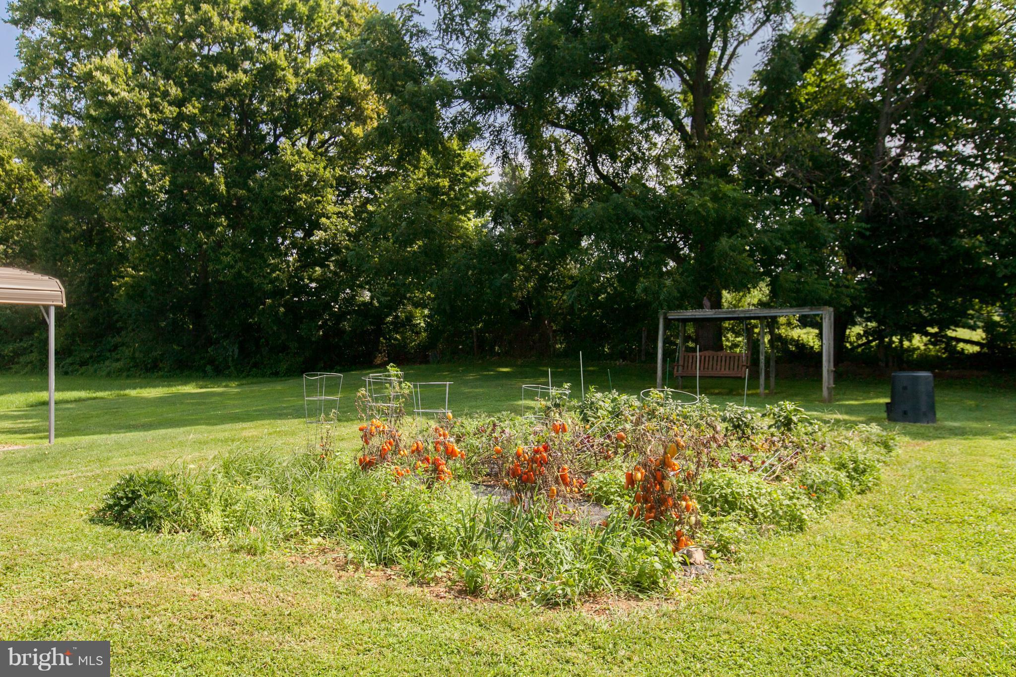 8317 Myersville Road Middletown, MD 21769 - Photo 27 of 30 a backyard of a house with lots of green space