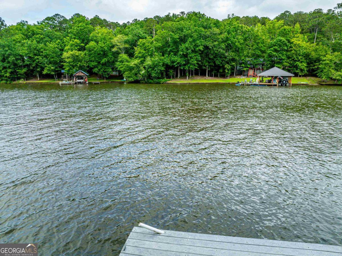 736 Susan Davis Road Sparta, GA 31087 - Photo 4 of 59