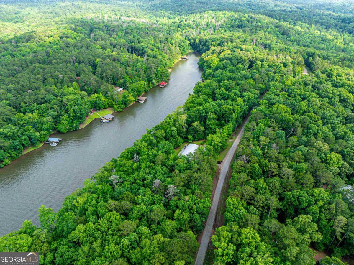 736 Susan Davis Road Sparta, GA 31087 - Photo 56 of 59