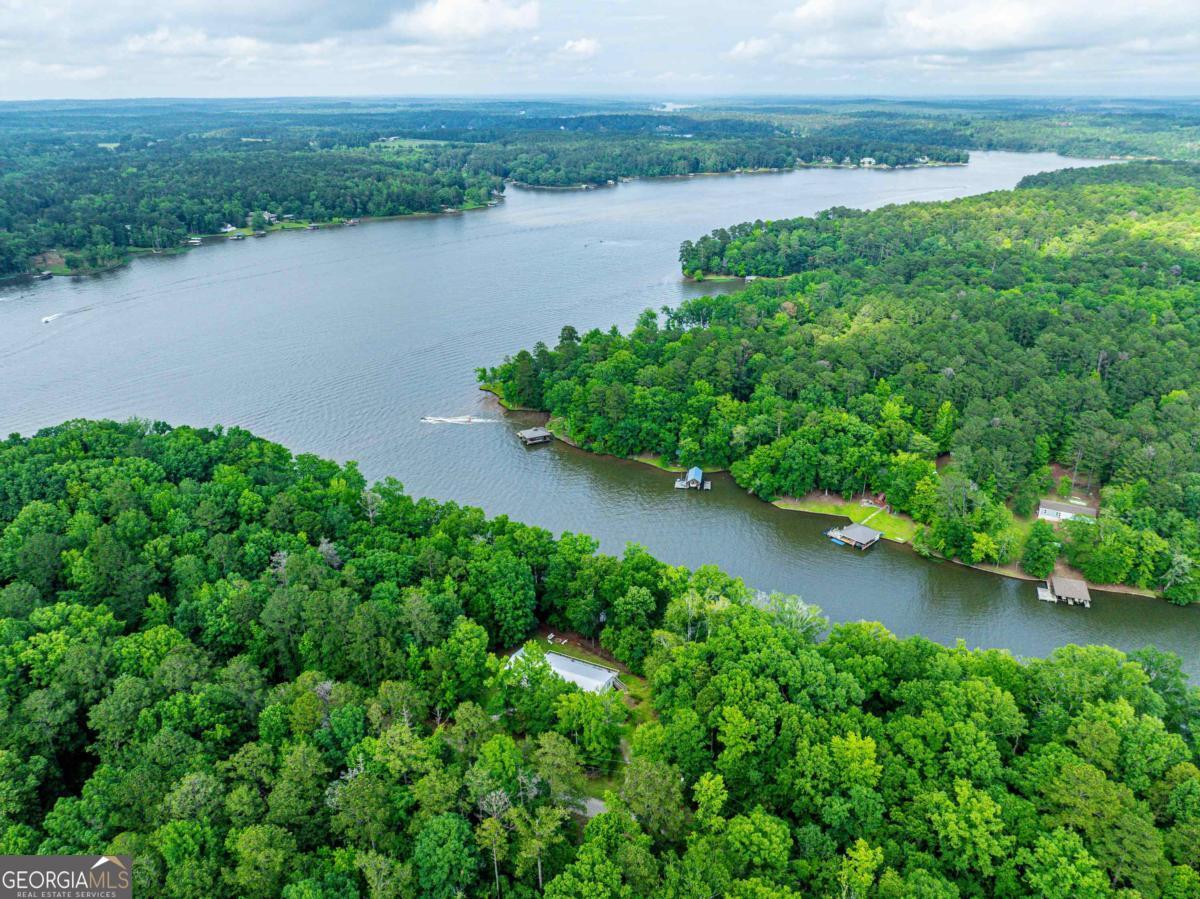 736 Susan Davis Road Sparta, GA 31087 - Photo 58 of 59