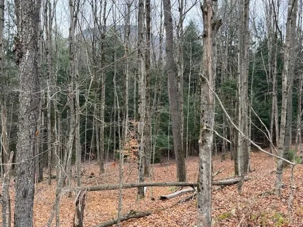 $85,000 | 0 Maxfield Road, Waterville, VT 05492