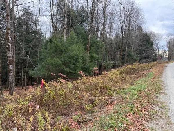 $85,000 | 0 Maxfield Road, Waterville, VT 05492