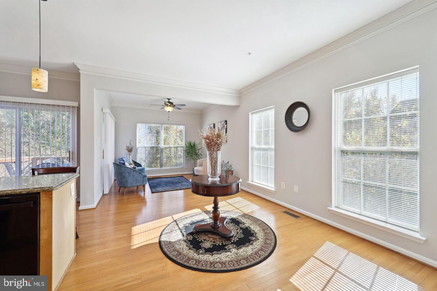 1116 Ring Bill Loop Upper Marlboro, MD 20774 - Photo 26 of 42 a living room with furniture and a fireplace