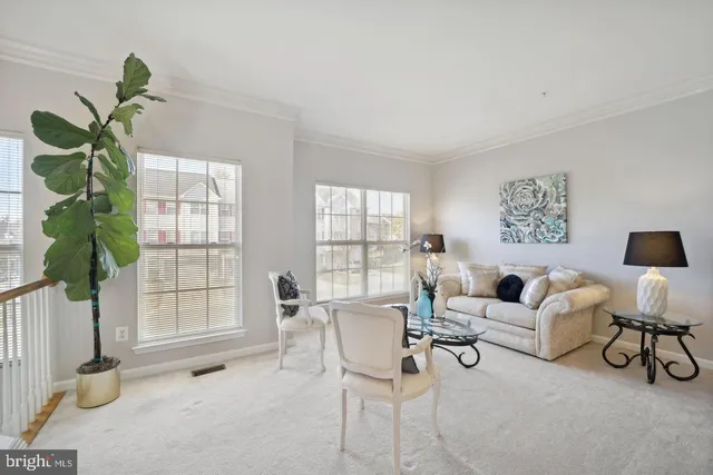 a living room with furniture a potted plant and a large window