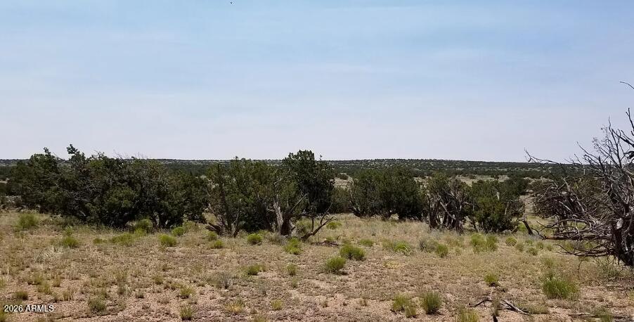 234 County Road St. Johns, AZ 85936 - Photo 10 of 13 234 County Rd N6371