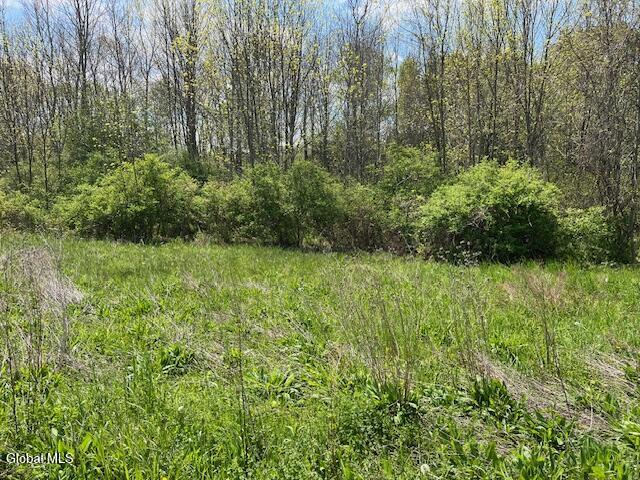 296 Evergreen Road Carlisle, NY 12043 - Photo 12 of 17 IMG_5346