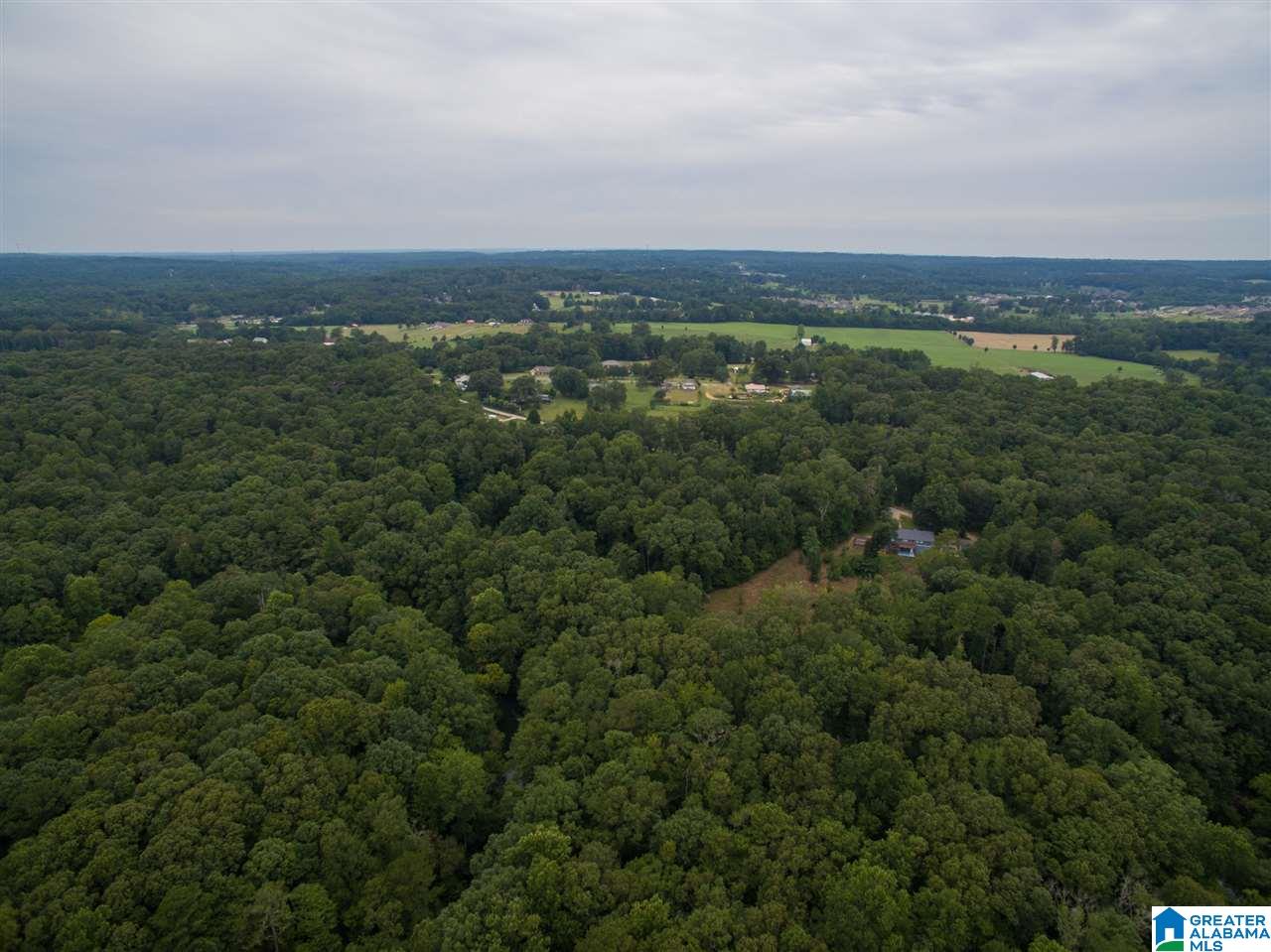 23227 East Ridge Drive McCalla, AL 35111 - Photo 43 of 49