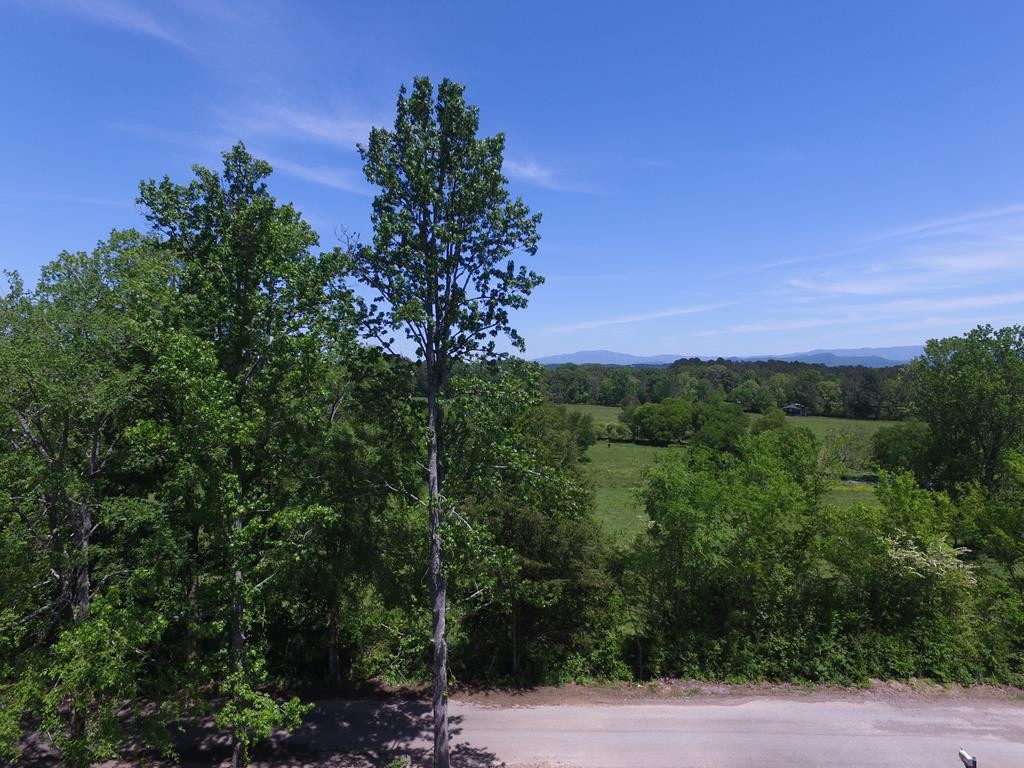1730 Kincaid Road Southeast Cleveland, TN 37323 - Photo 54 of 62